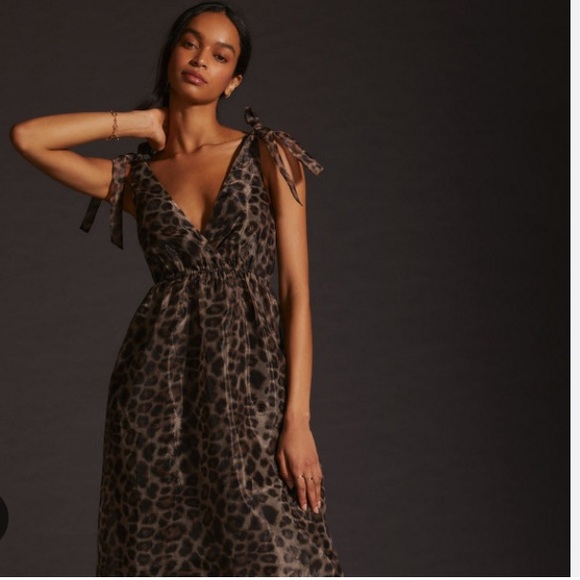 Daniel Rainn V-Neck Organza Dress - Picture 3 of 11